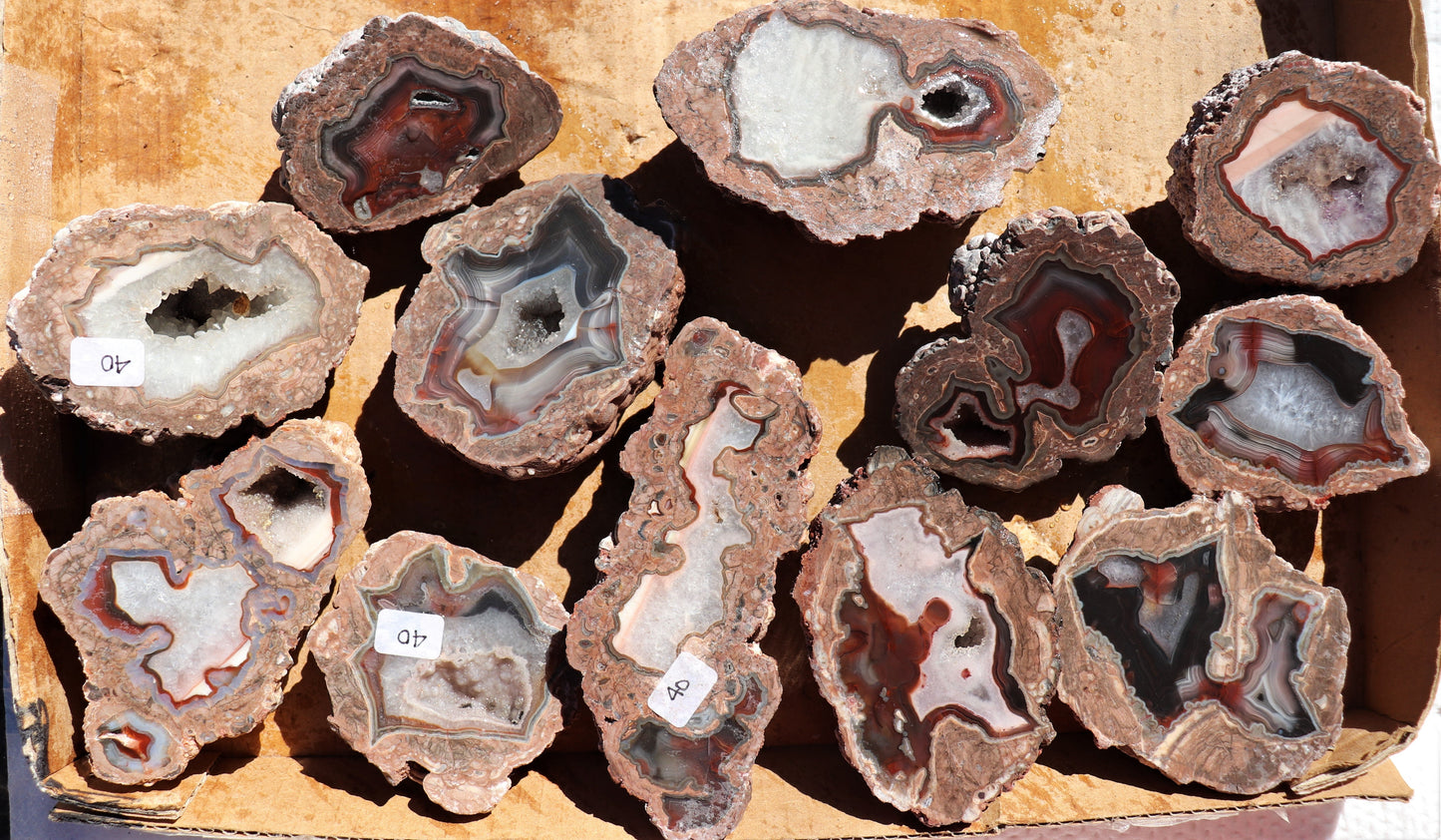 12 count flat of $40 Deming thunderegg halves
