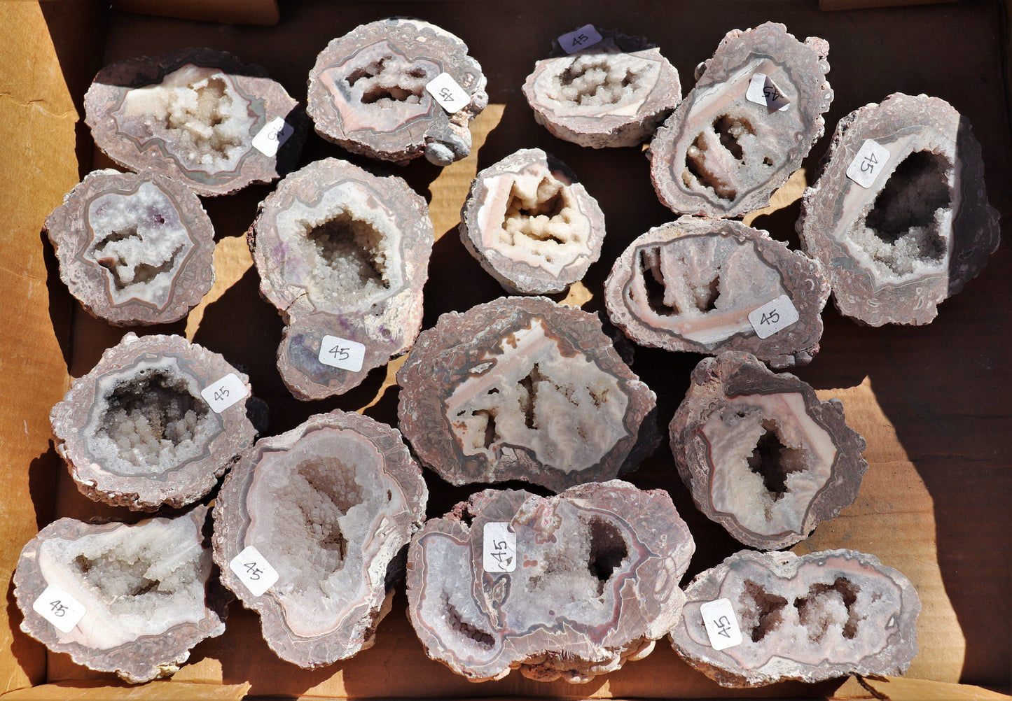 16 count flat of $45 Baker Ranch thunderegg halves