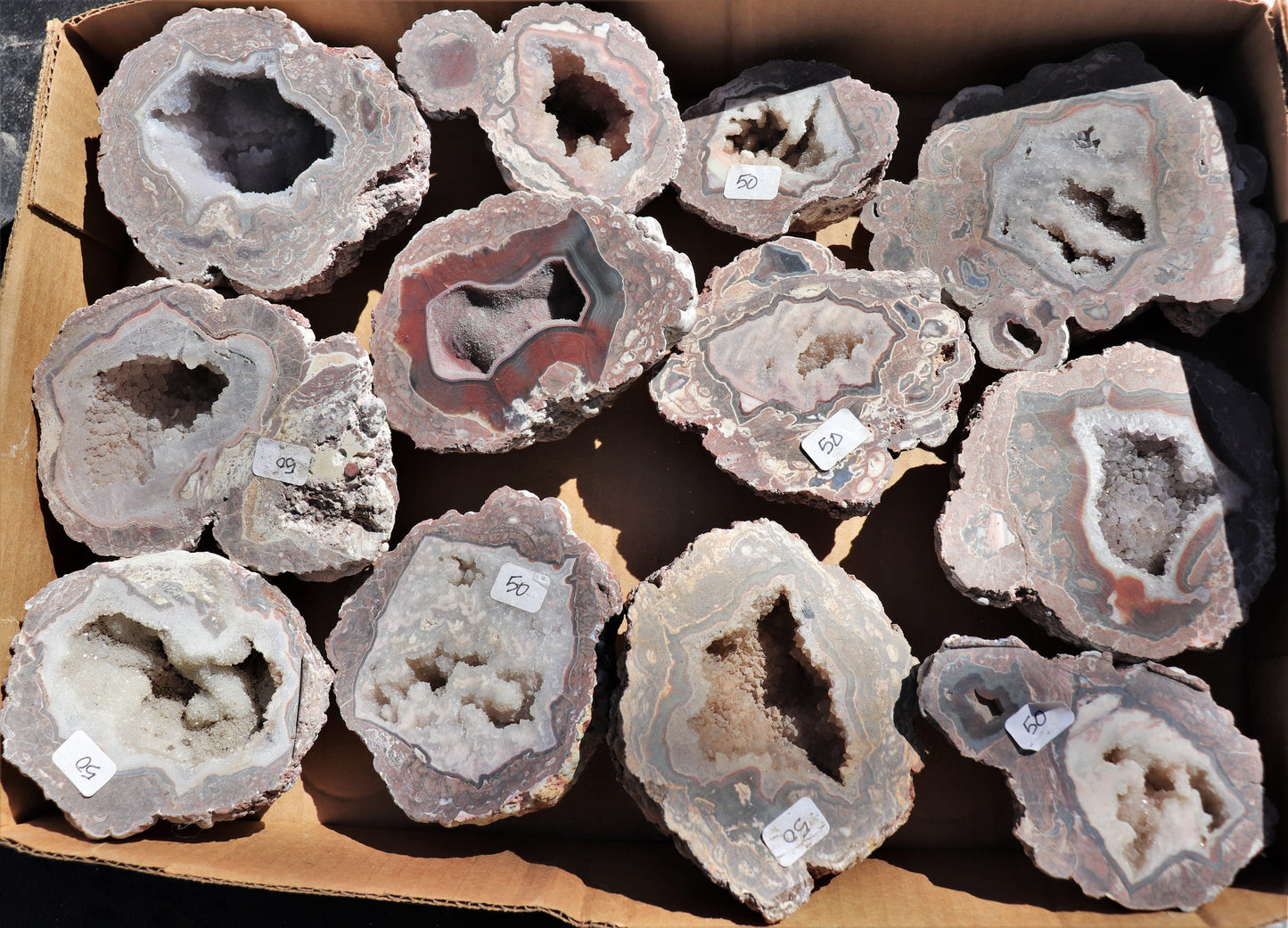 12 count flat of $50 Baker Ranch thunderegg halves