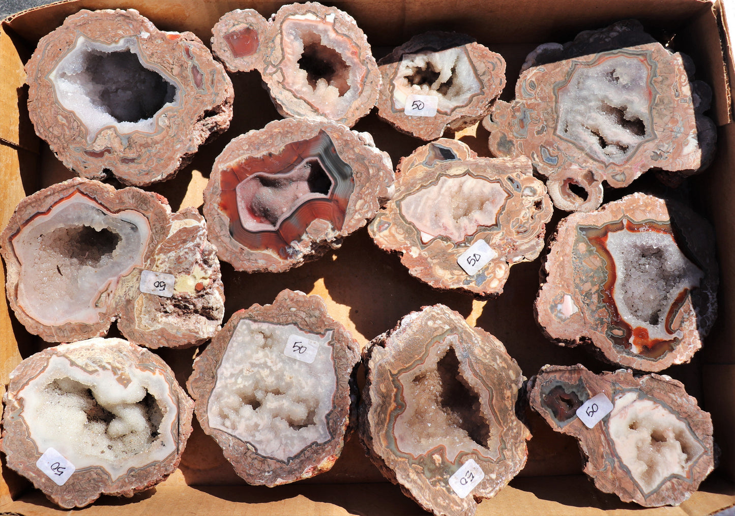 12 count flat of $50 Baker Ranch thunderegg halves