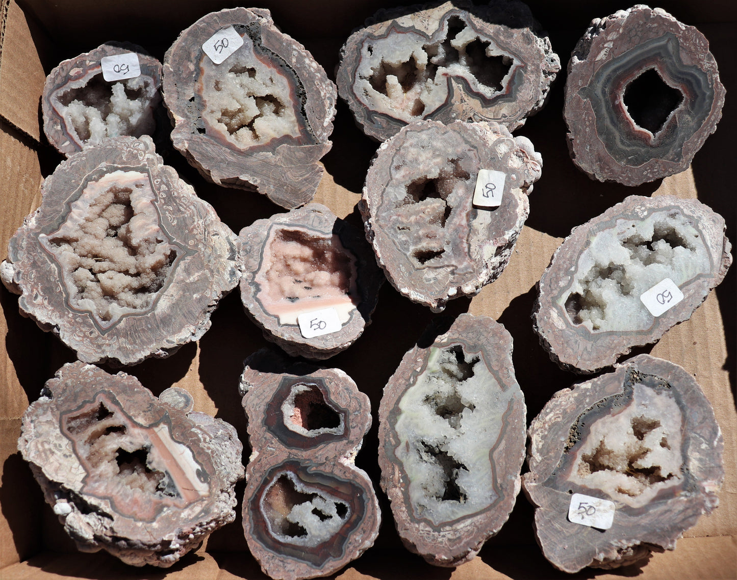 12 count flat of $50 Baker Ranch thunderegg halves