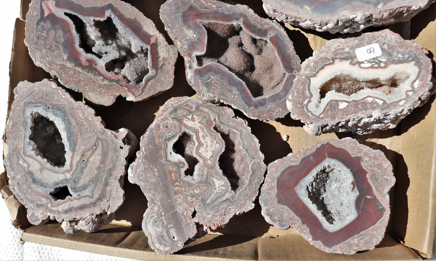 10 count flat of $60 Baker Ranch thunderegg halves