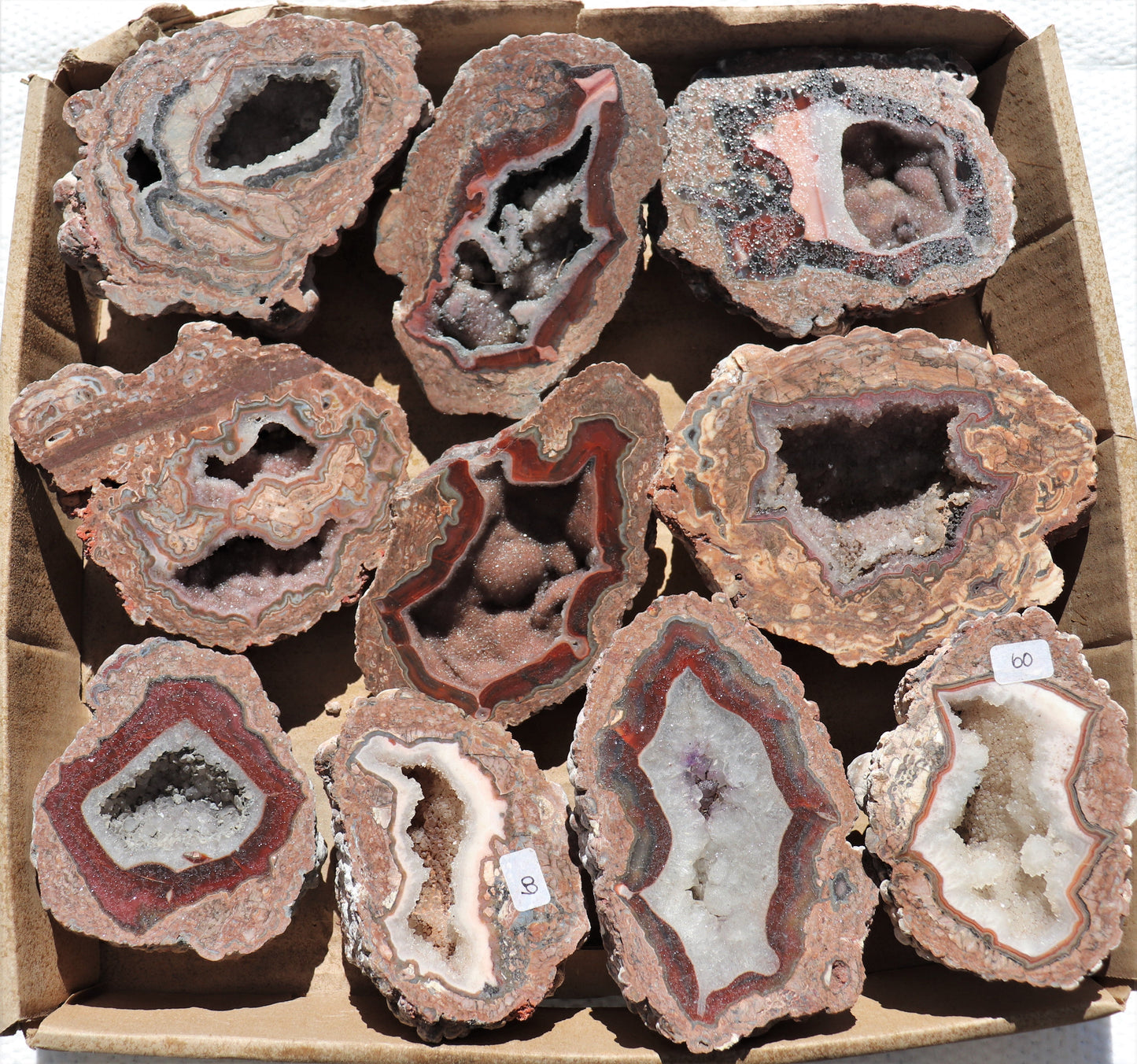 10 count flat of $60 Baker Ranch thunderegg halves