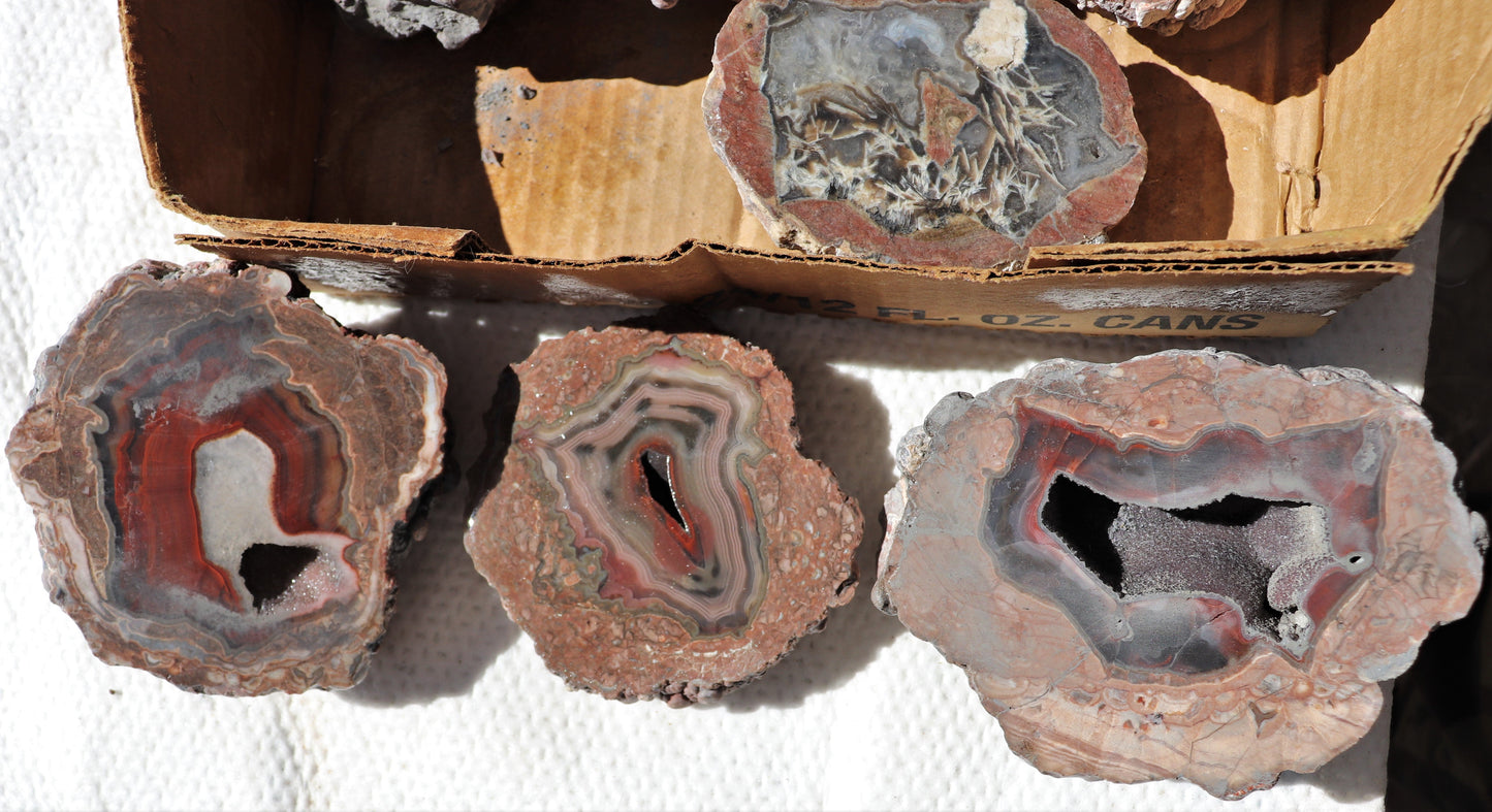 11 count flat of $60 Deming thunderegg halves