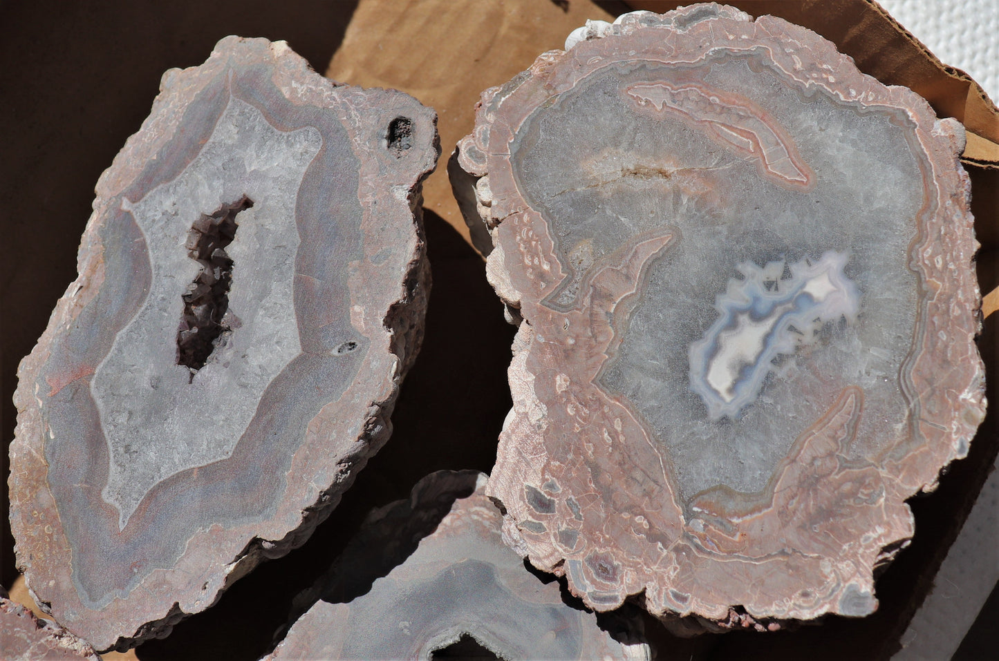 5 count flat of $70 Deming thunderegg halves