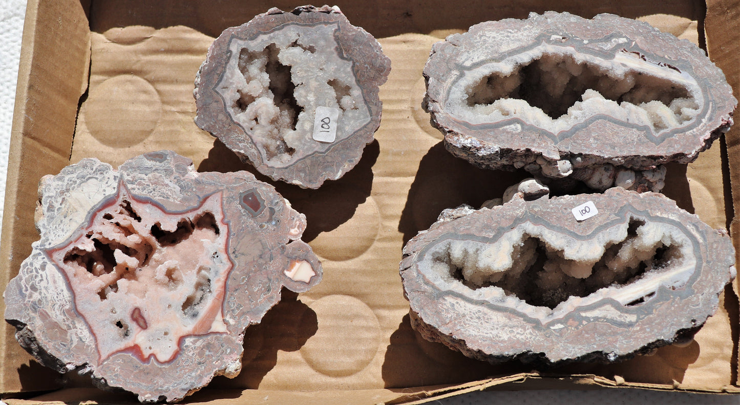 4 count flat of $100 Baker Ranch thunderegg halves