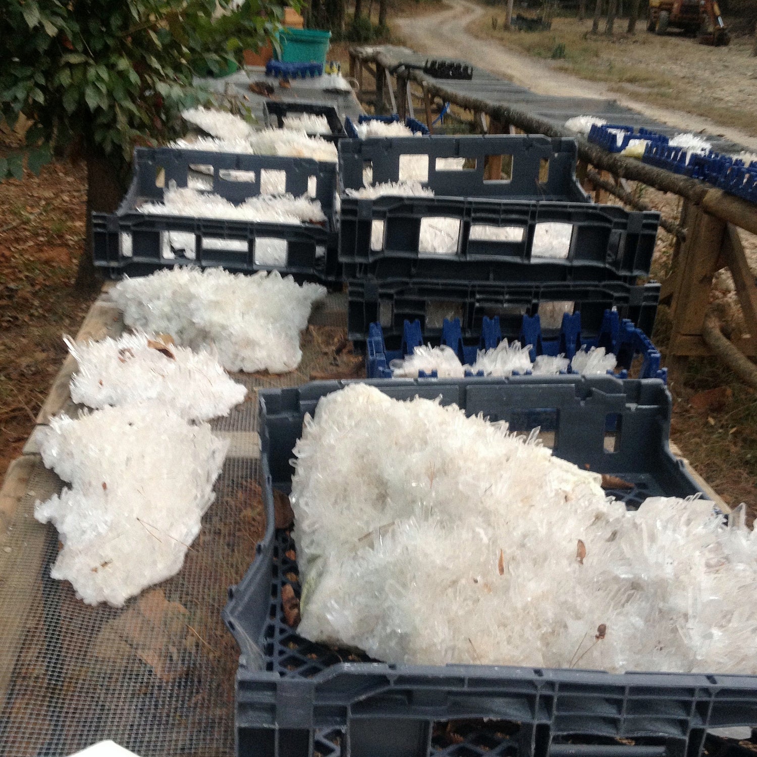 Arkansas Quartz - Direct from the Mine!