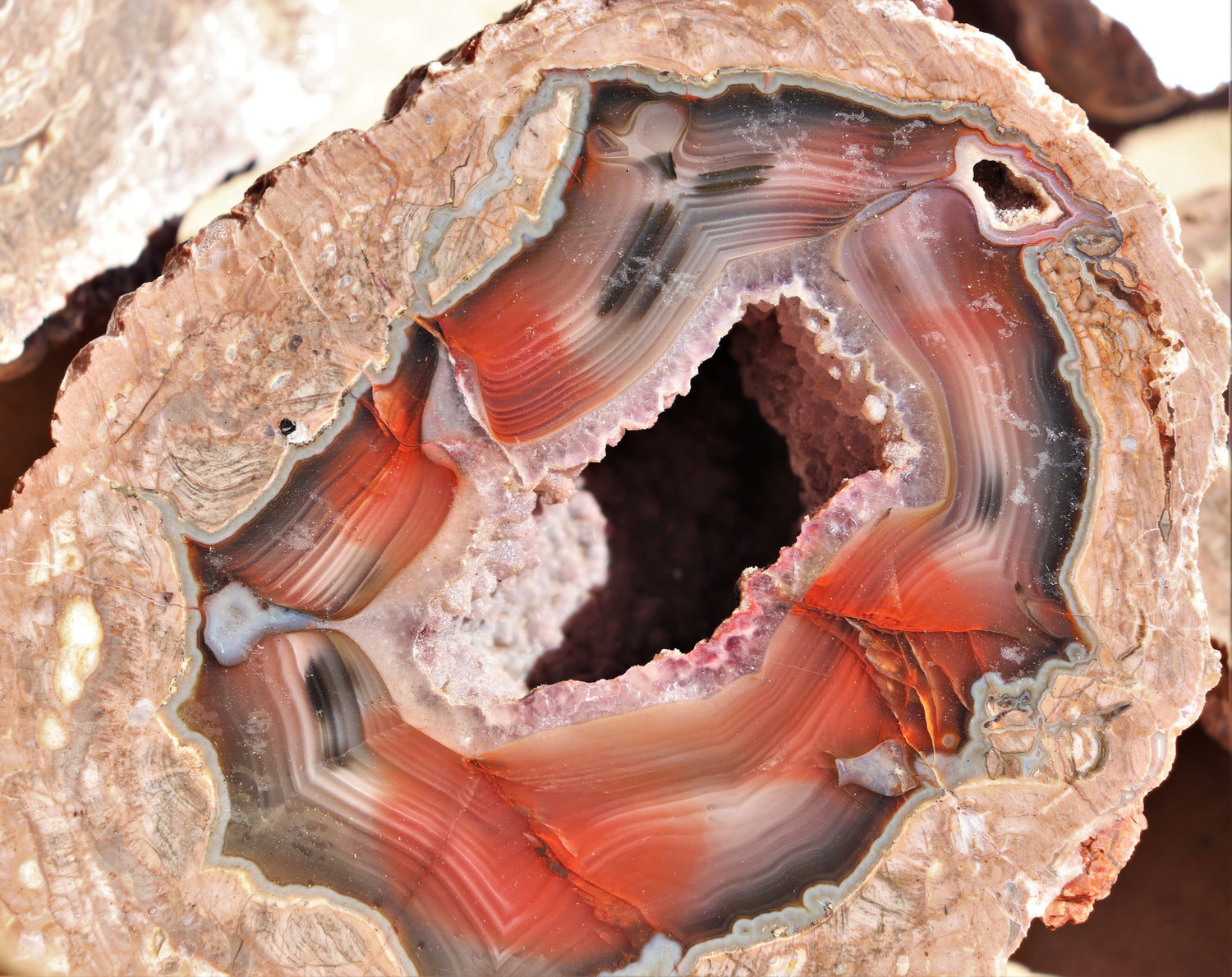 New Mexico Thundereggs