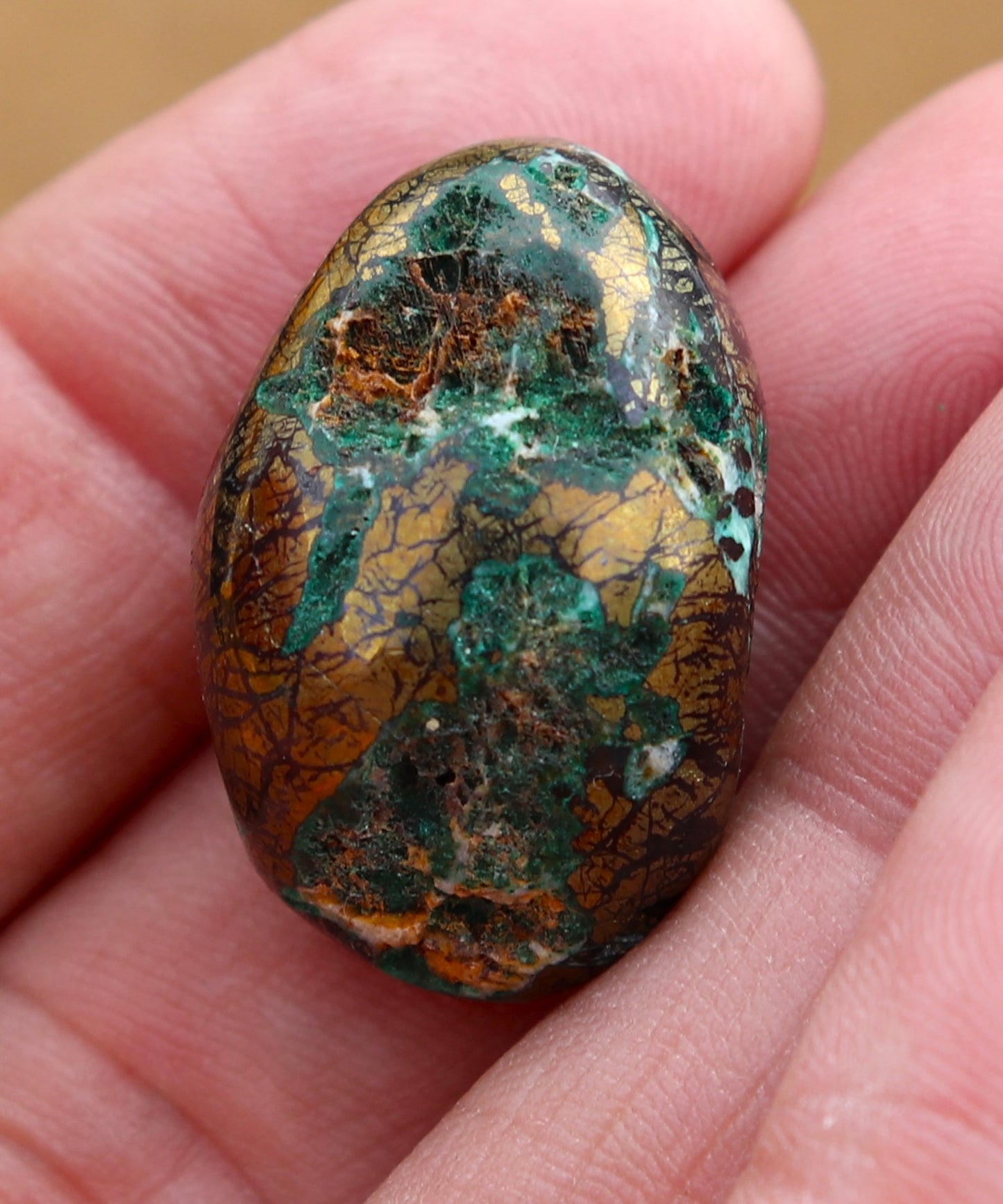 Chalcopyrite and Malachite Egg