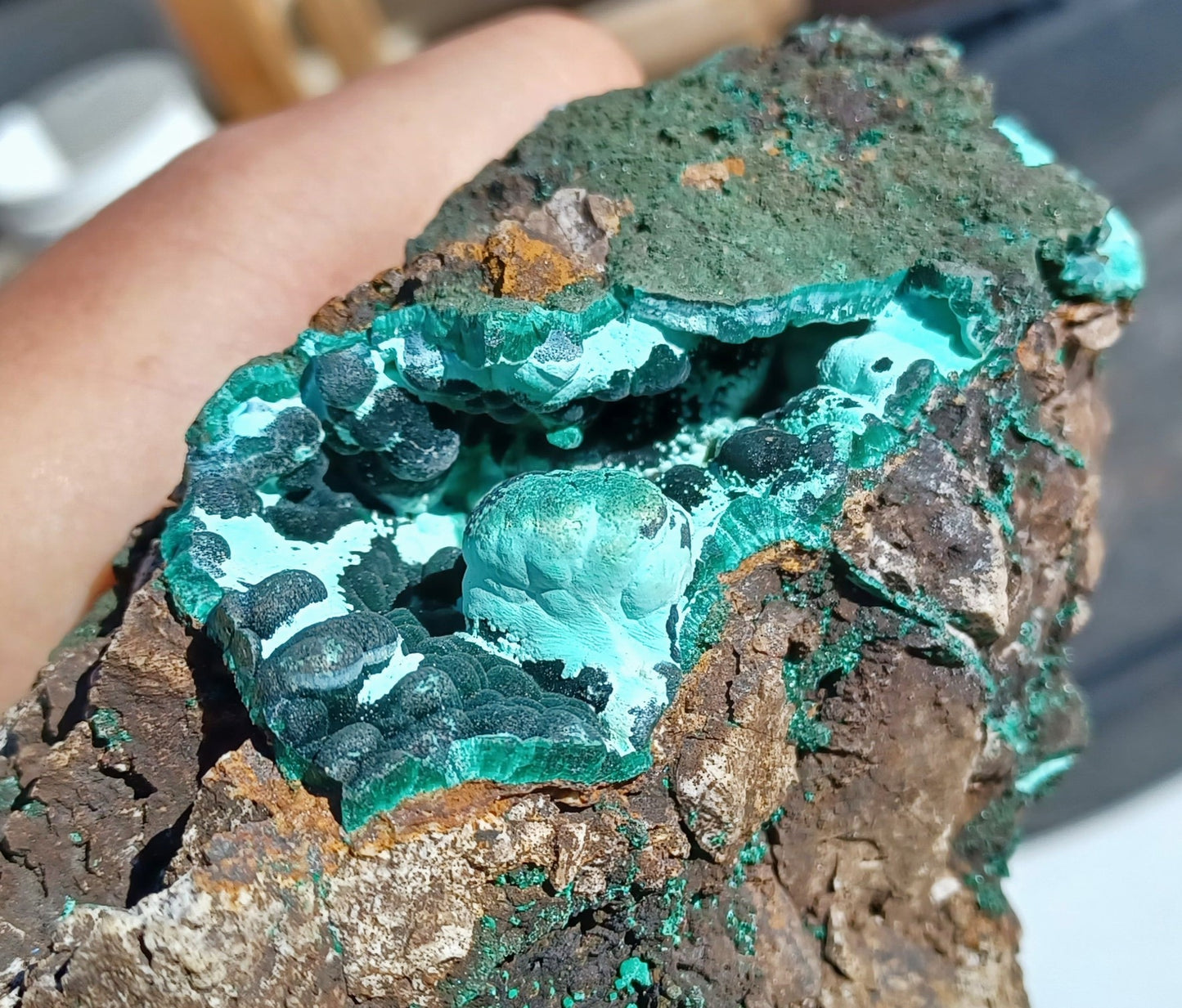 Wild Malachite and Shattuckite specimen