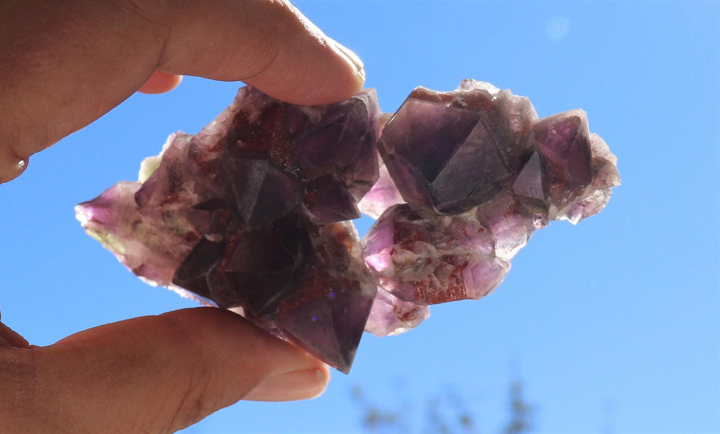 Amazing Hematite-included Amethyst Cluster with Green Fluorite