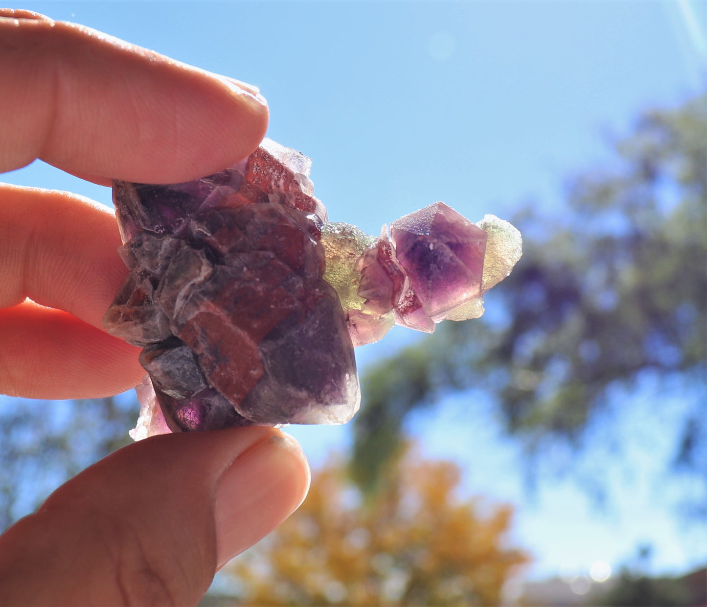 Amazing Hematite-included Amethyst Cluster with Green Fluorite