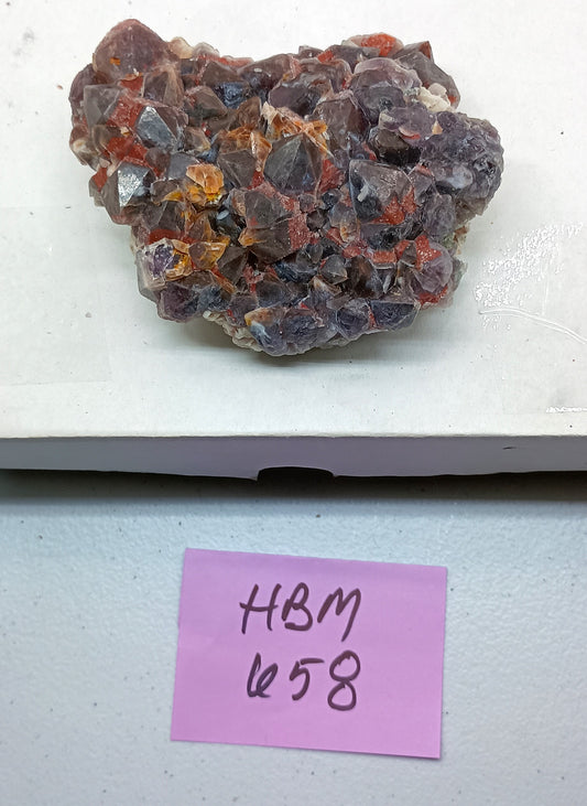 Nice Breccia Specimen