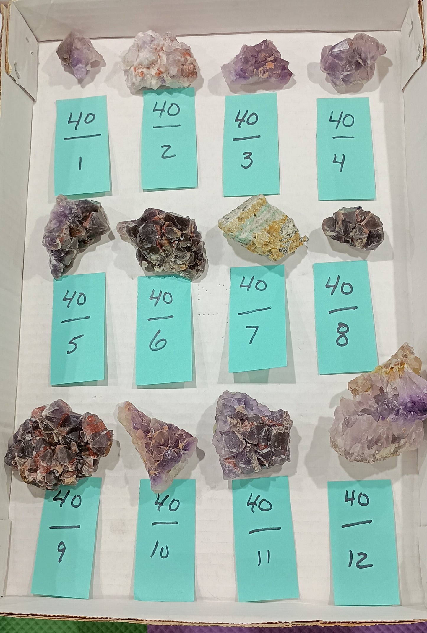 Bulk Buy - 40 dollar specimens