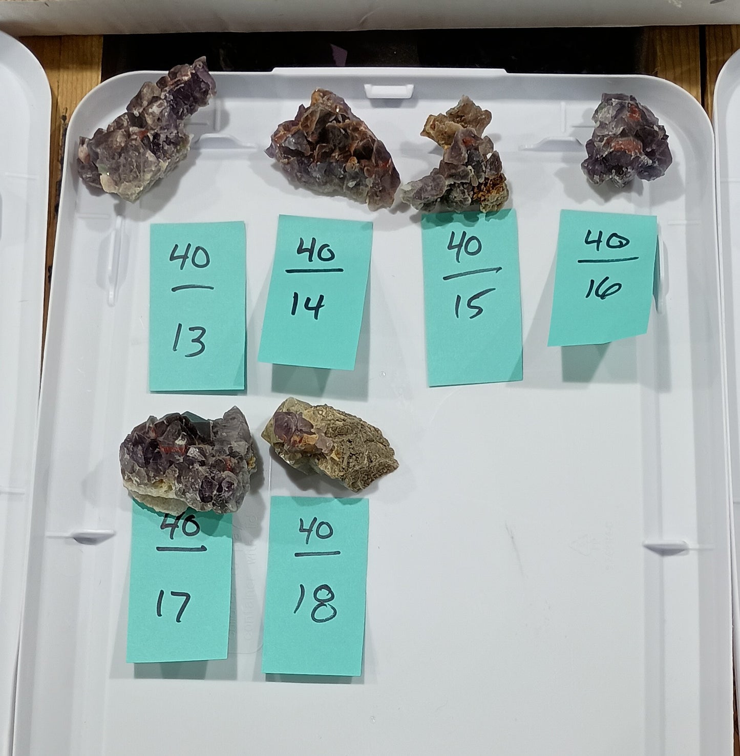 Bulk Buy - 40 dollar specimens