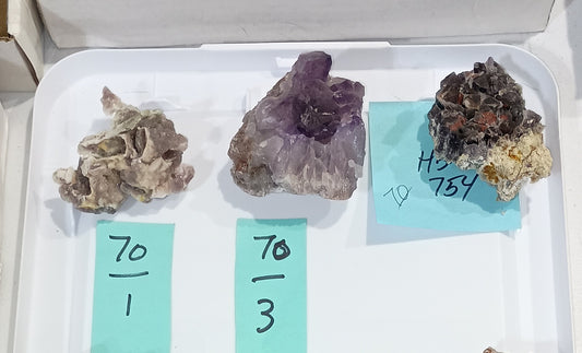 Bulk Buy - 70 dollar specimens