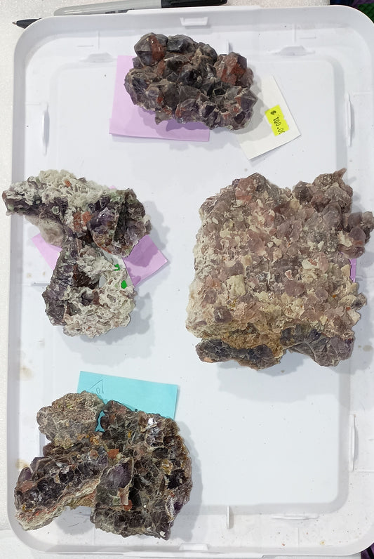 Bulk Buy - 100 dollar specimens