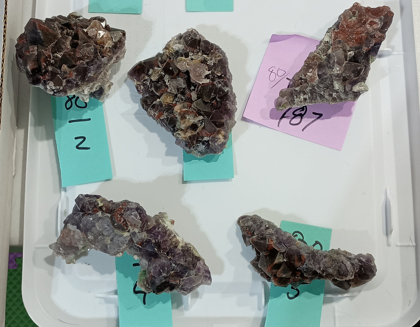 Bulk Buy - 80 dollar specimens