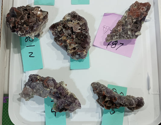 Bulk Buy - 80 dollar specimens