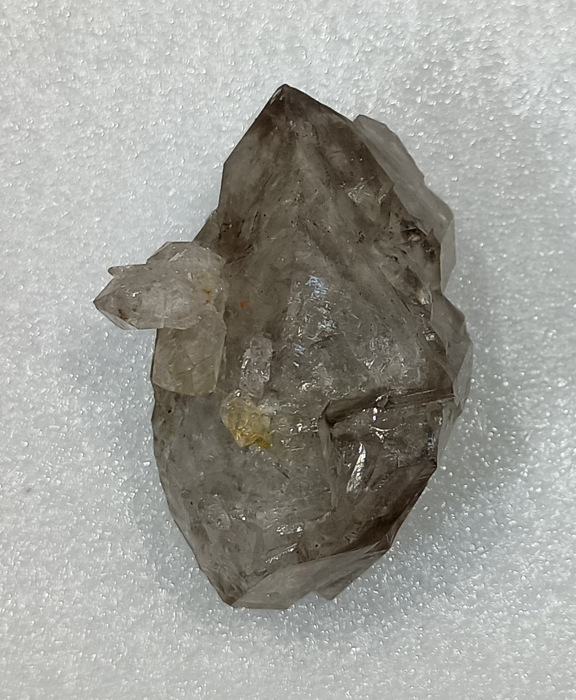 UV reactive Double Terminated Arkansas Smoky Quartz Enhydro Crystal