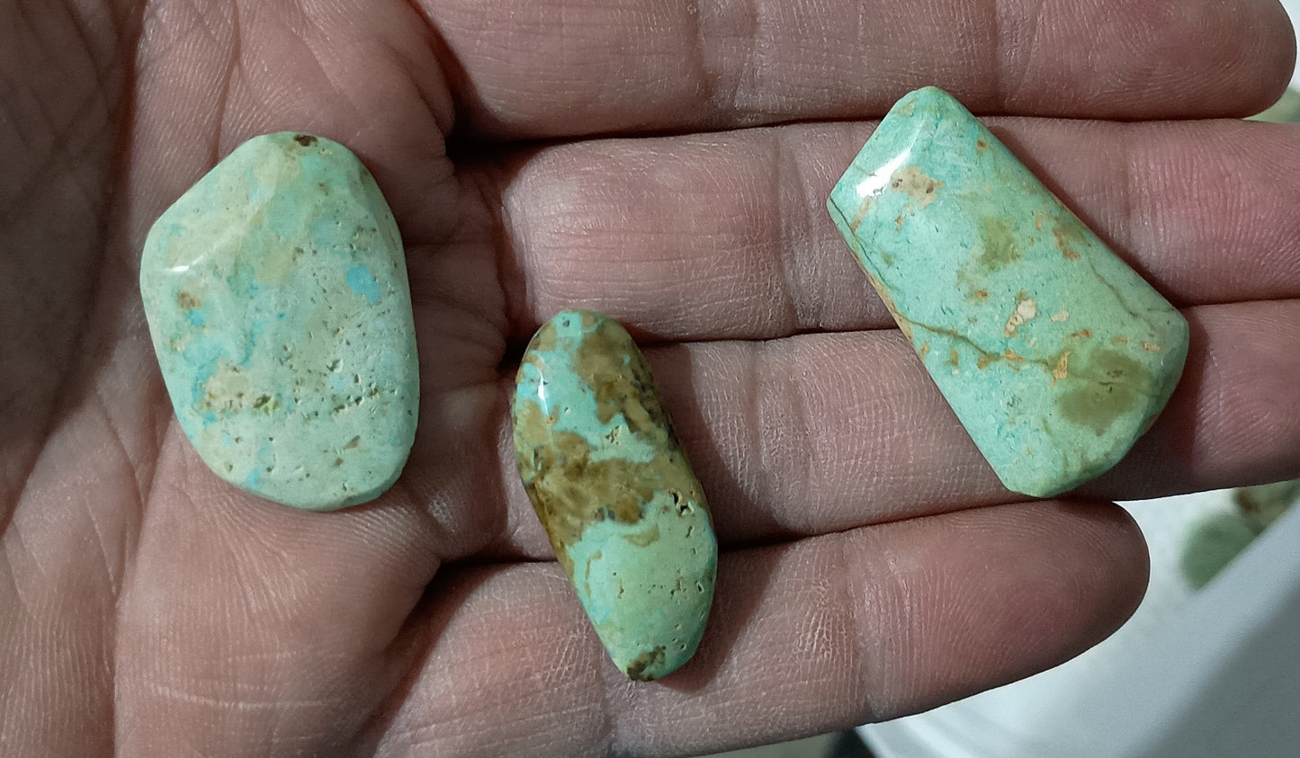 BBoCC Turquoise - Large Blue/Green