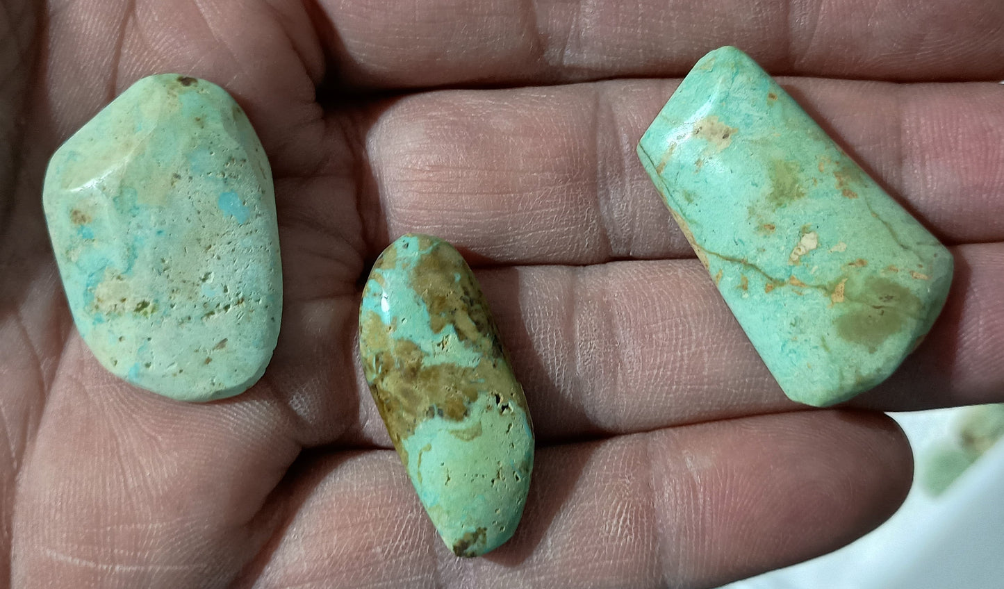 BBoCC Turquoise - Large Blue/Green