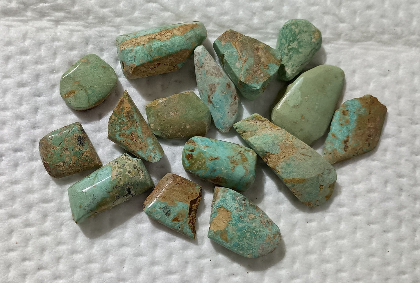 BBoCC Turquoise - Small Blue/Green