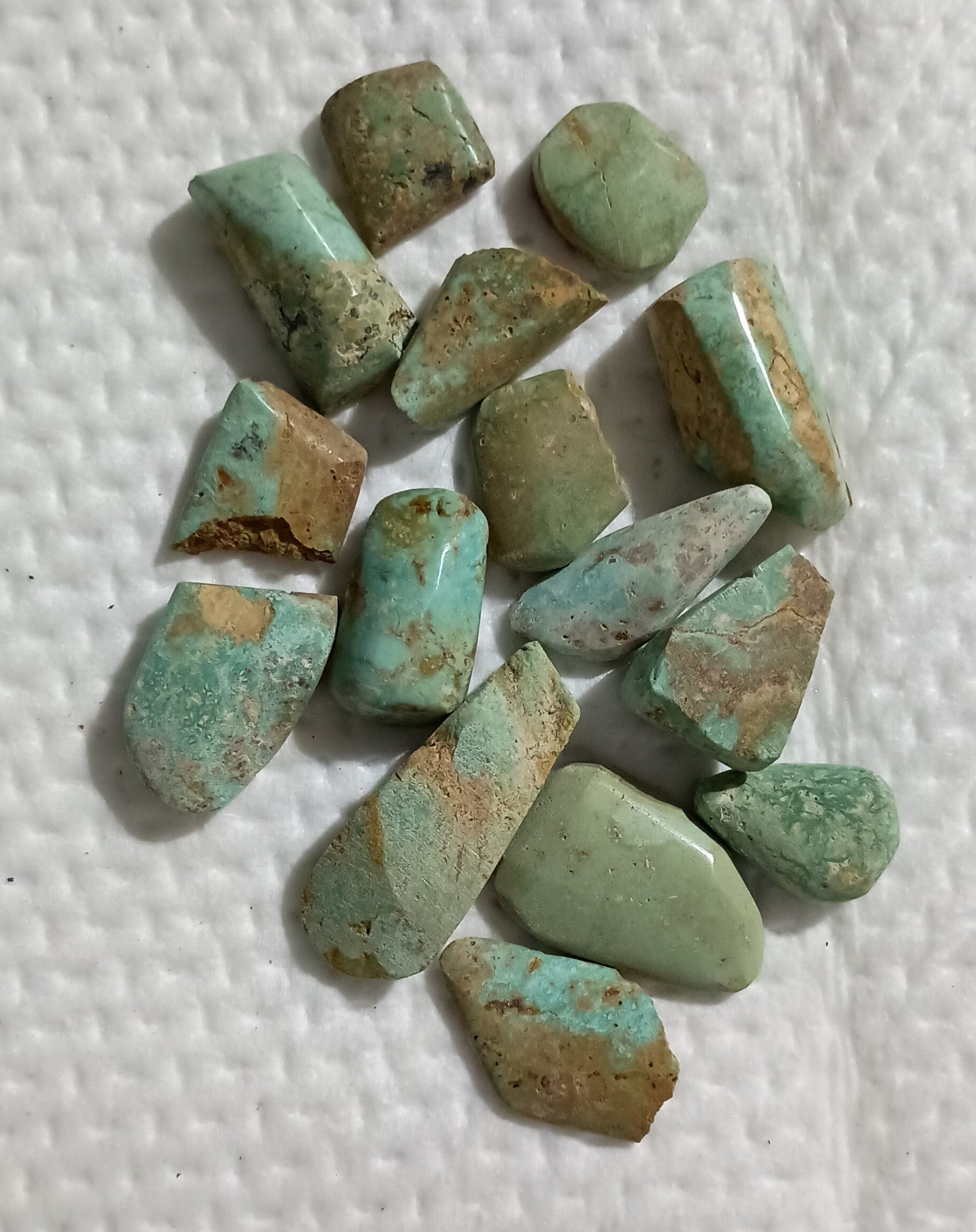 BBoCC Turquoise - Small Blue/Green