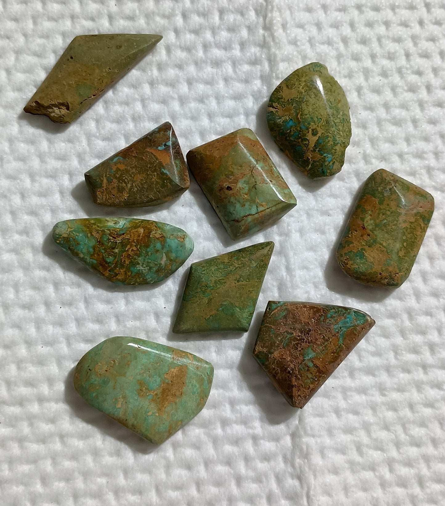 BBoCC Turquoise - Medium Green