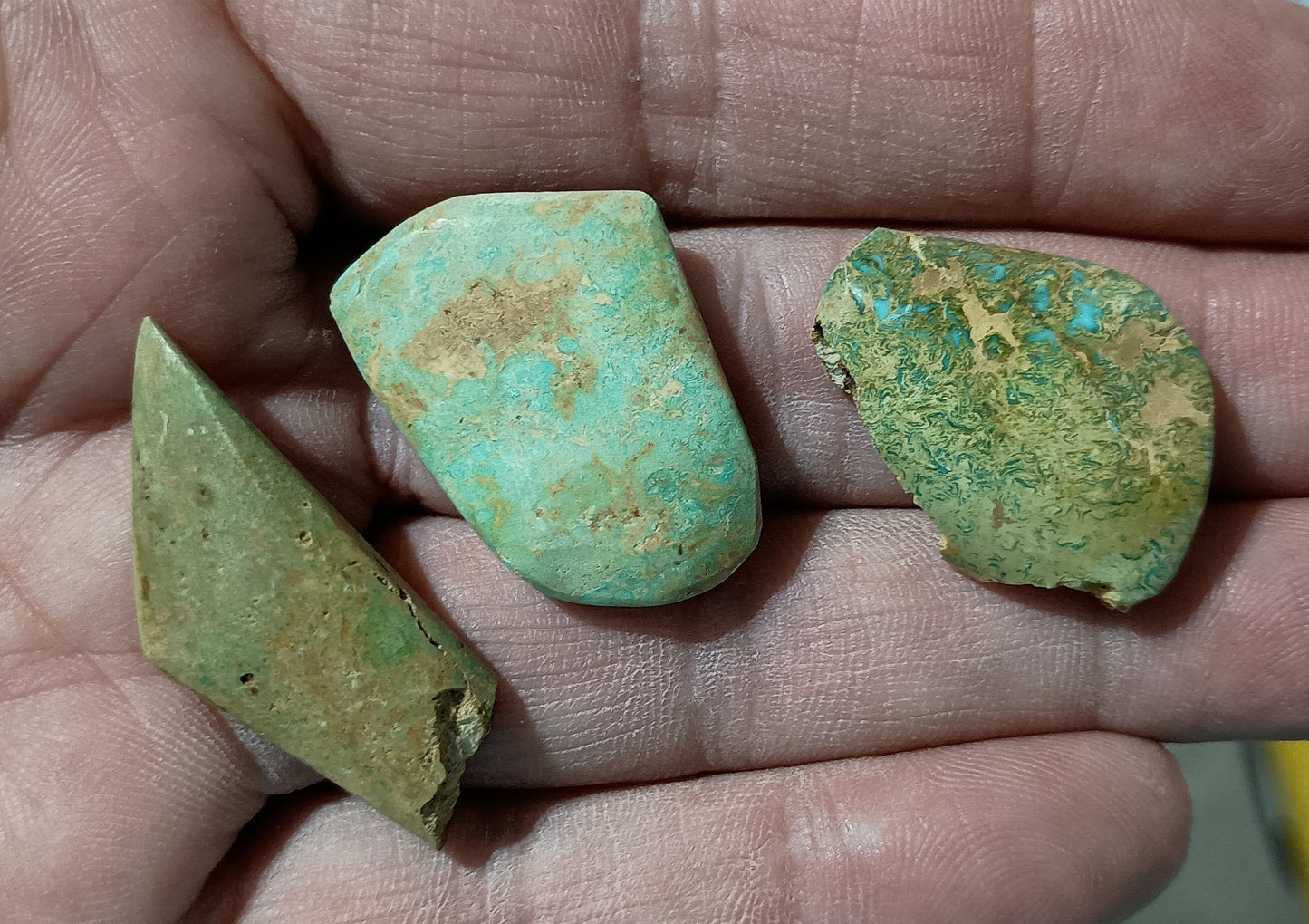 BBoCC Turquoise - Medium Green