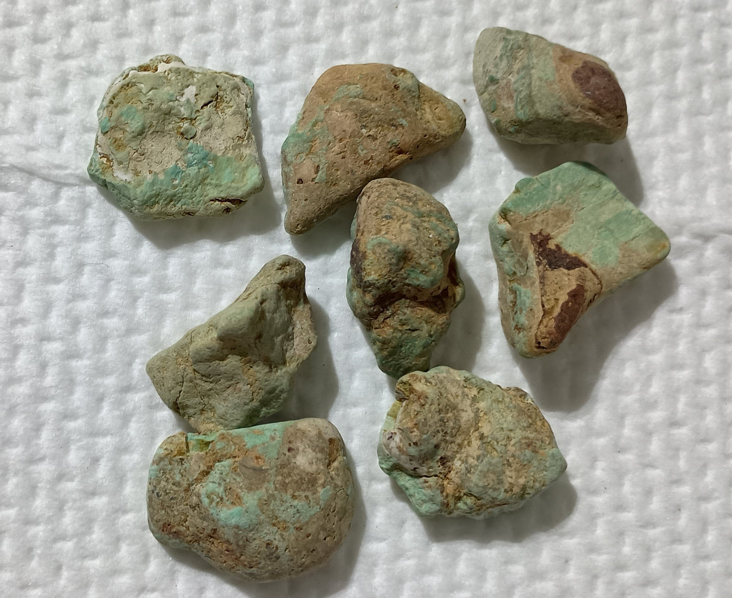 BBoCC Turquoise - Large Rough