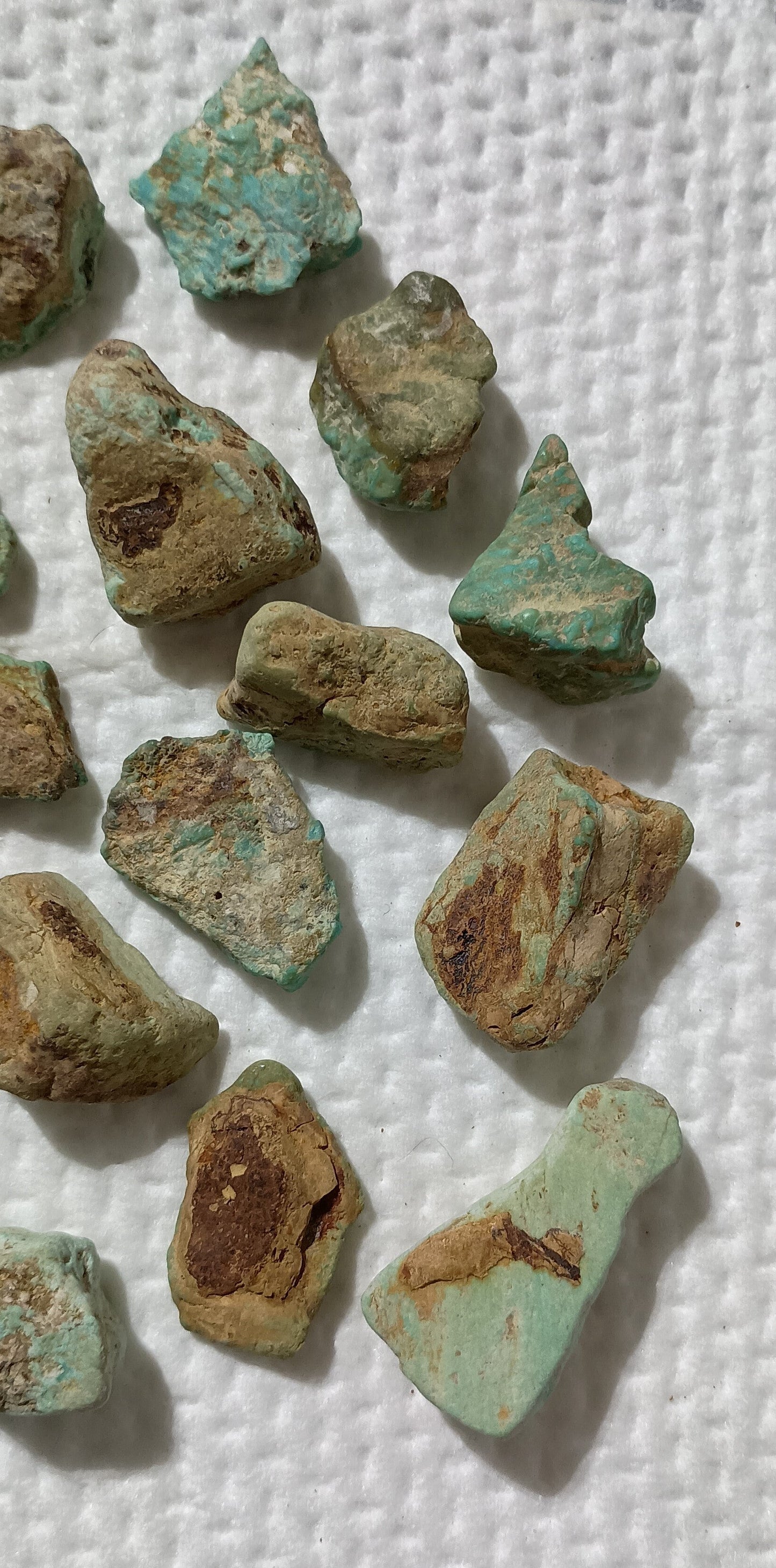 BBoCC Turquoise - Medium Rough