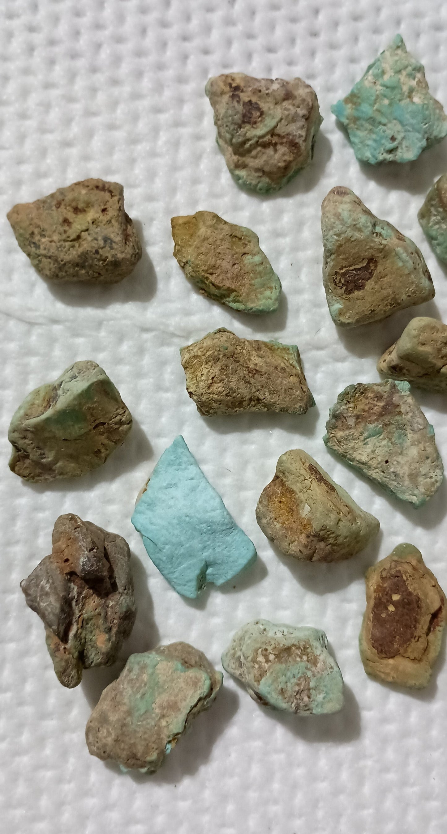 BBoCC Turquoise - Medium Rough