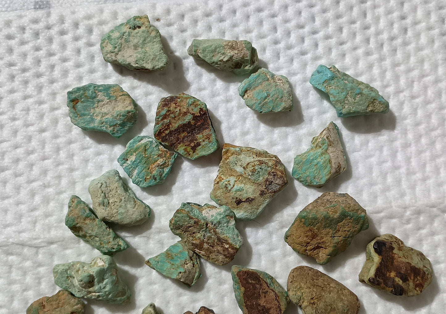 BBoCC Turquoise - Small Rough