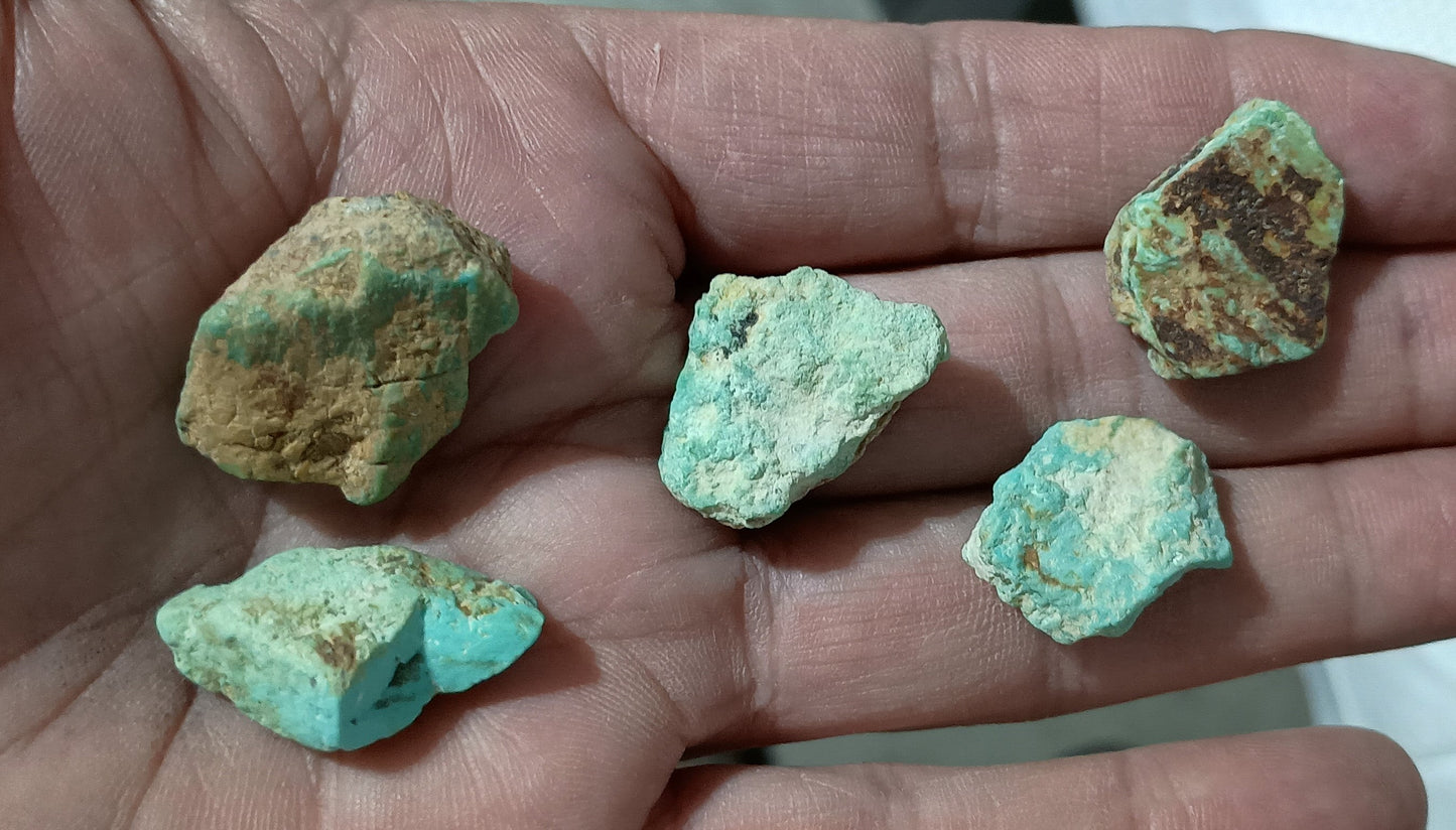 BBoCC Turquoise - Small Rough