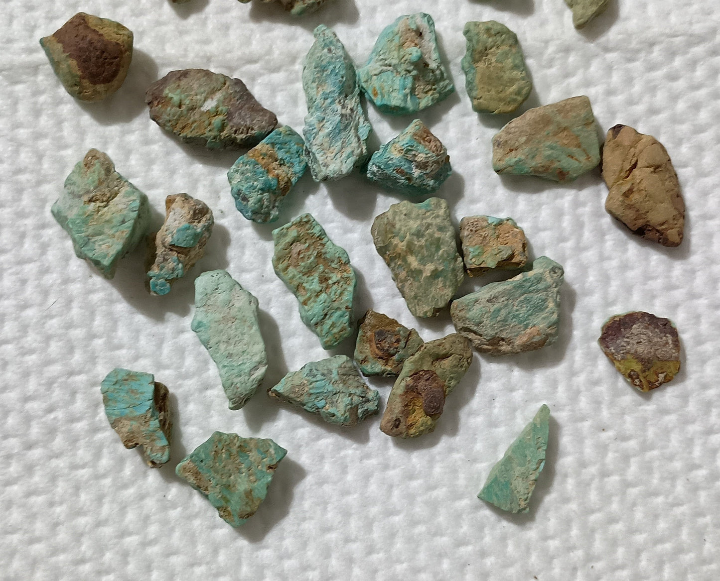 BBoCC Turquoise - Small Rough