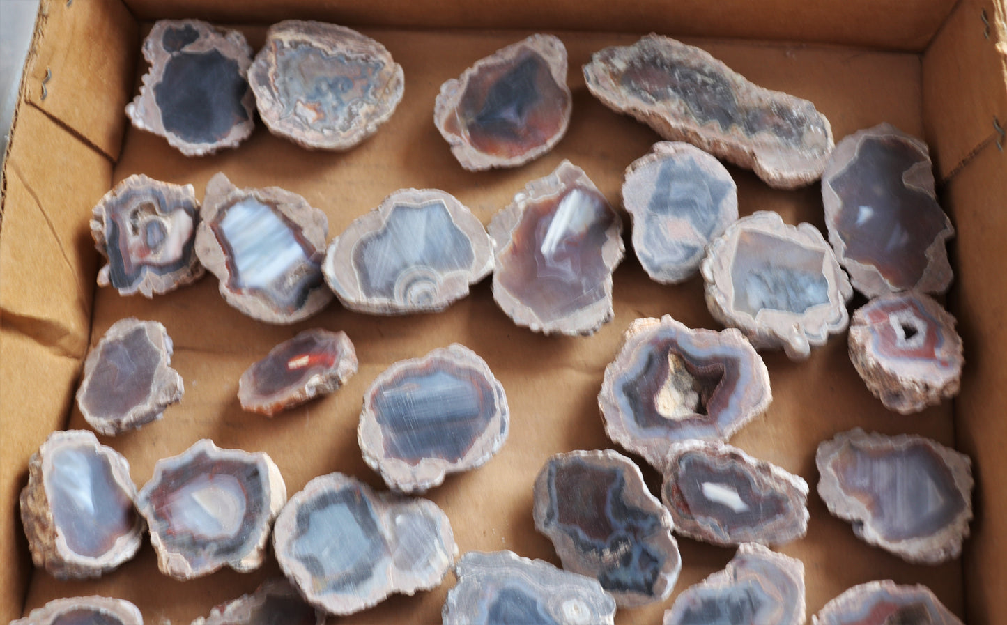50 count flat of $10 Deming thunderegg halves