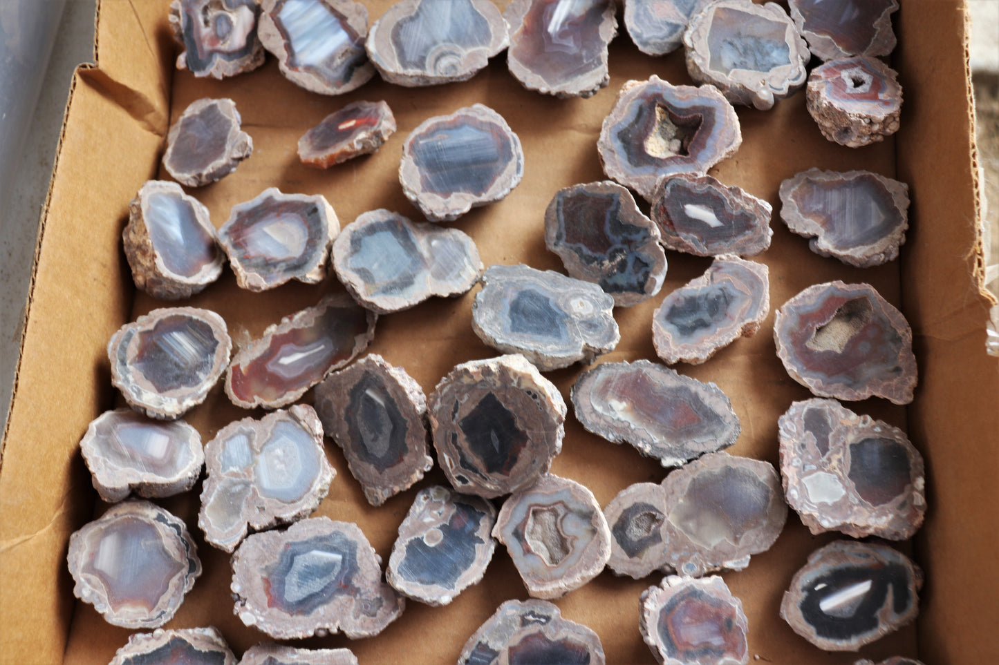 50 count flat of $10 Deming thunderegg halves