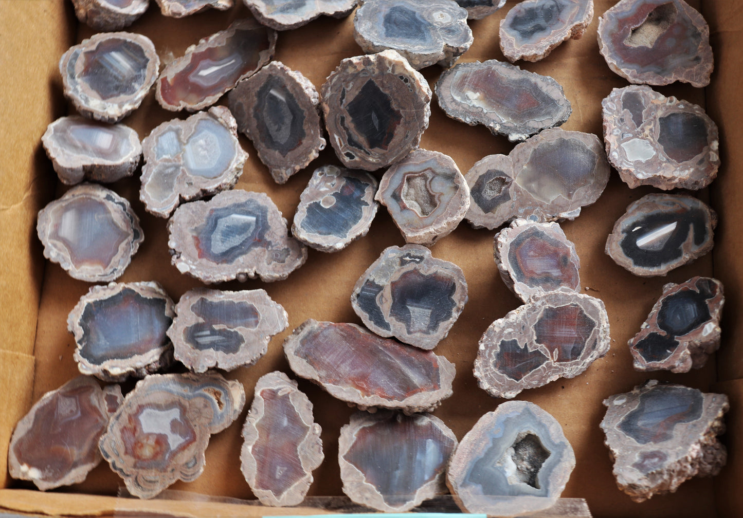 50 count flat of $10 Deming thunderegg halves