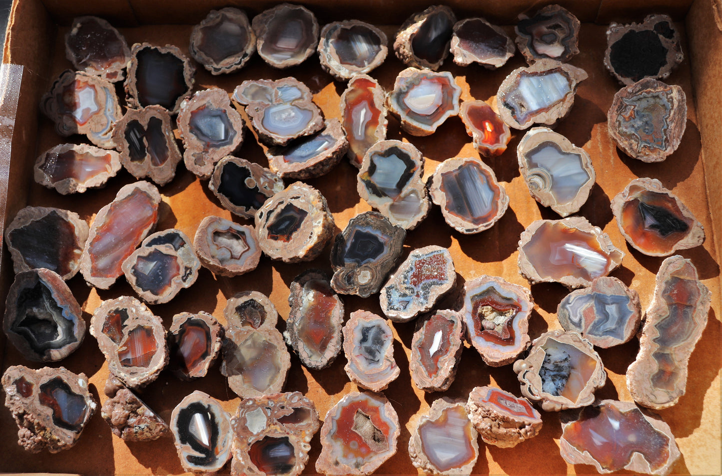 50 count flat of $10 Deming thunderegg halves