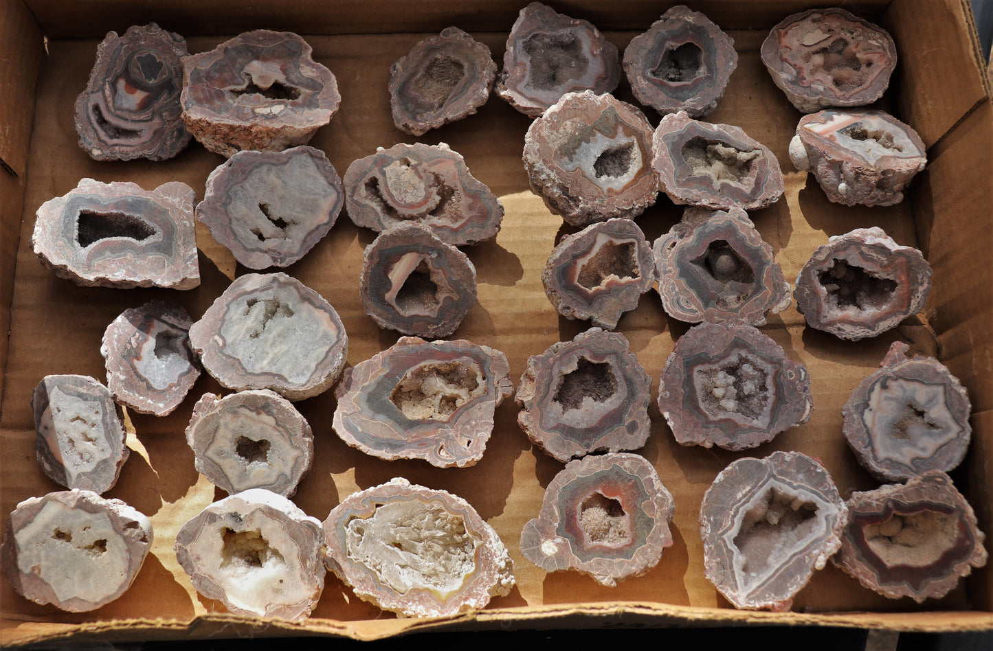 30 count flat of $15 Baker Ranch thunderegg halves