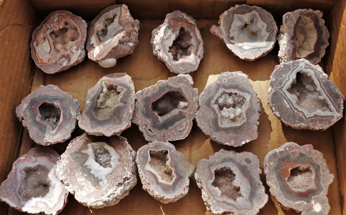 30 count flat of $15 Baker Ranch thunderegg halves