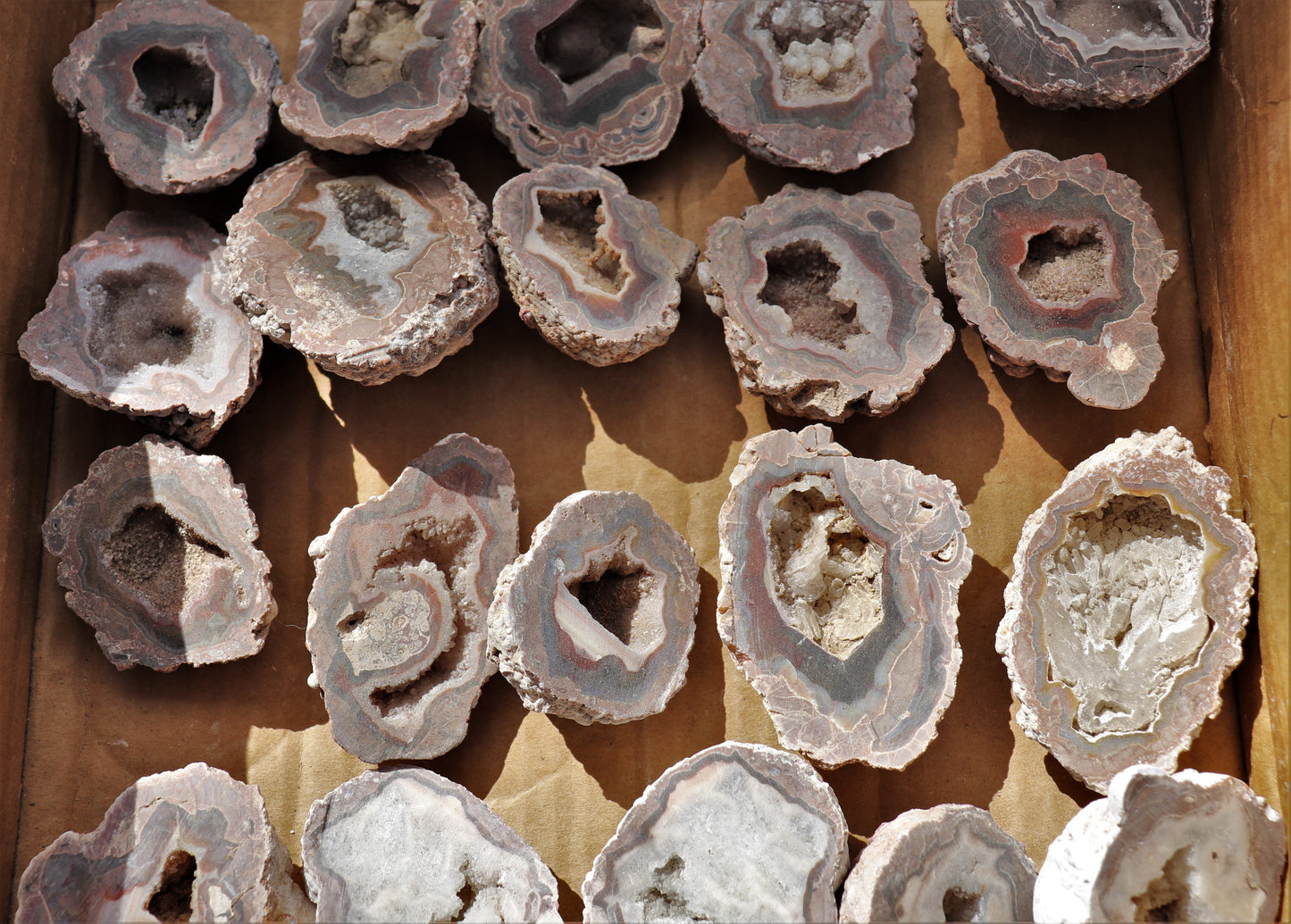 30 count flat of $15 Baker Ranch thunderegg halves