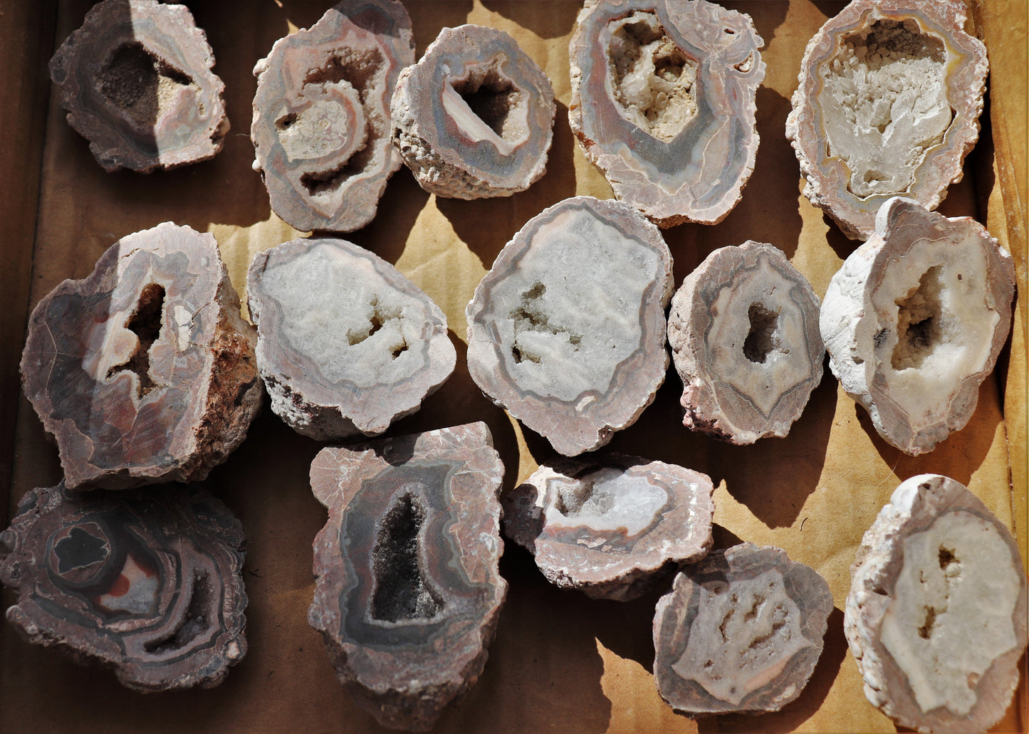 30 count flat of $15 Baker Ranch thunderegg halves