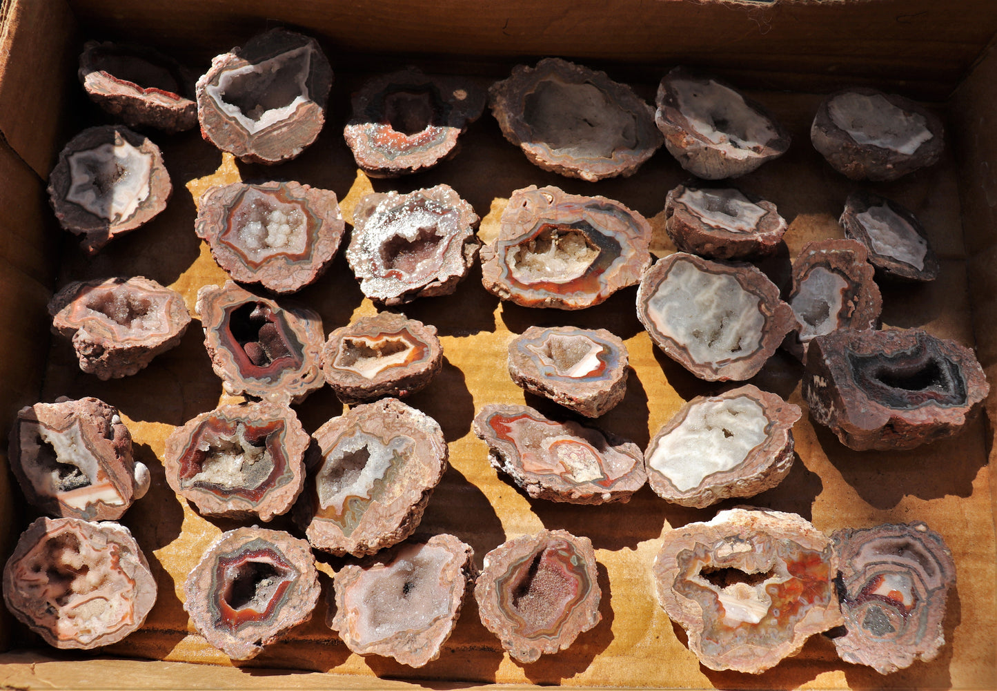 30 count flat of $15 Baker Ranch thunderegg halves