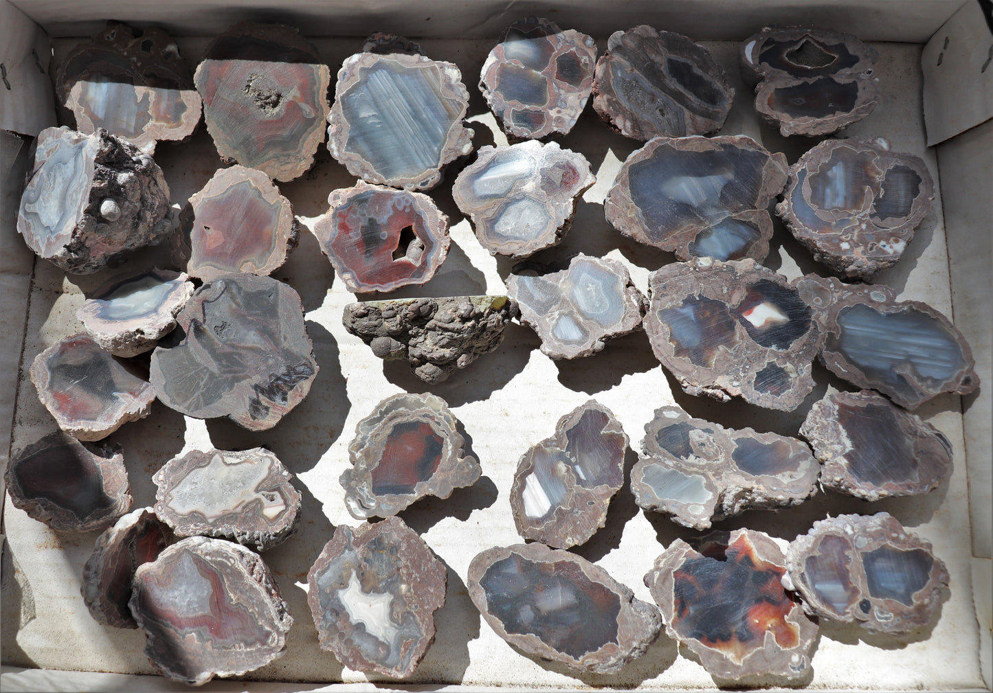30 count flat of $15 Deming thunderegg halves