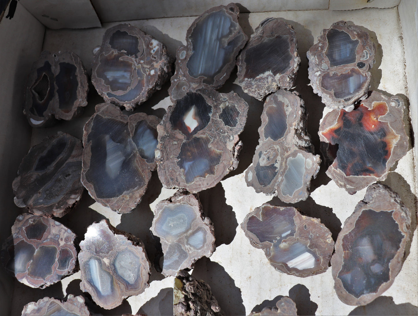 30 count flat of $15 Deming thunderegg halves