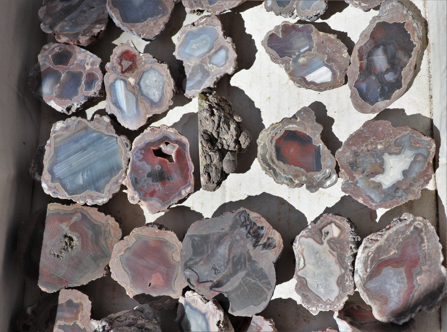 30 count flat of $15 Deming thunderegg halves