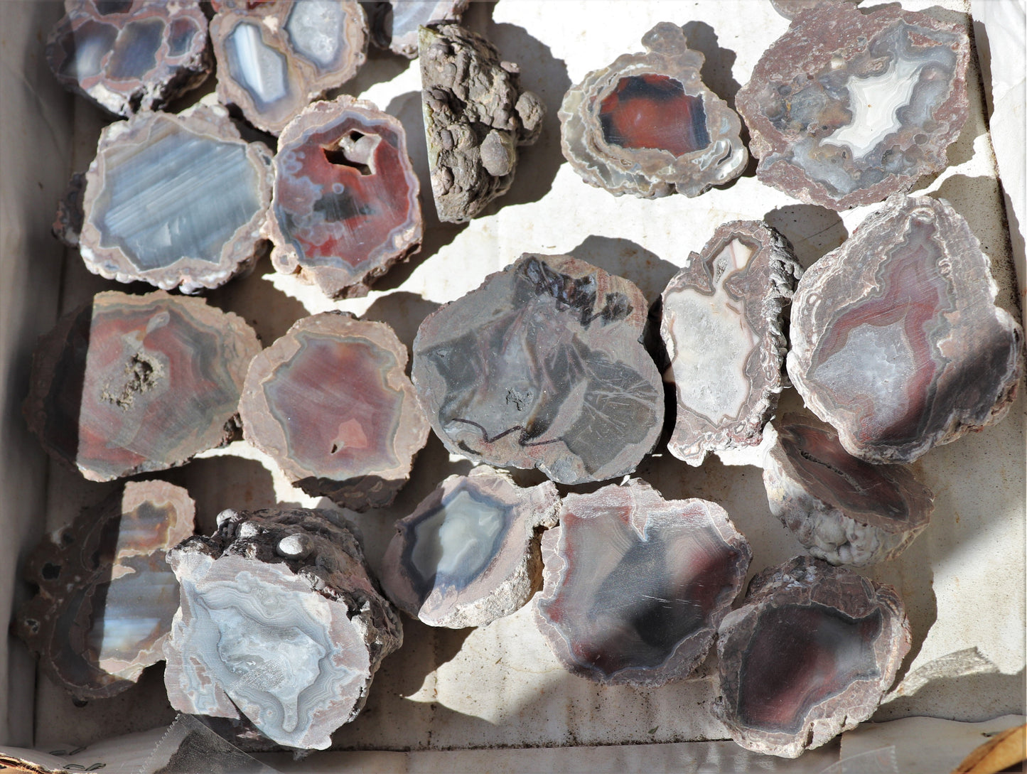 30 count flat of $15 Deming thunderegg halves