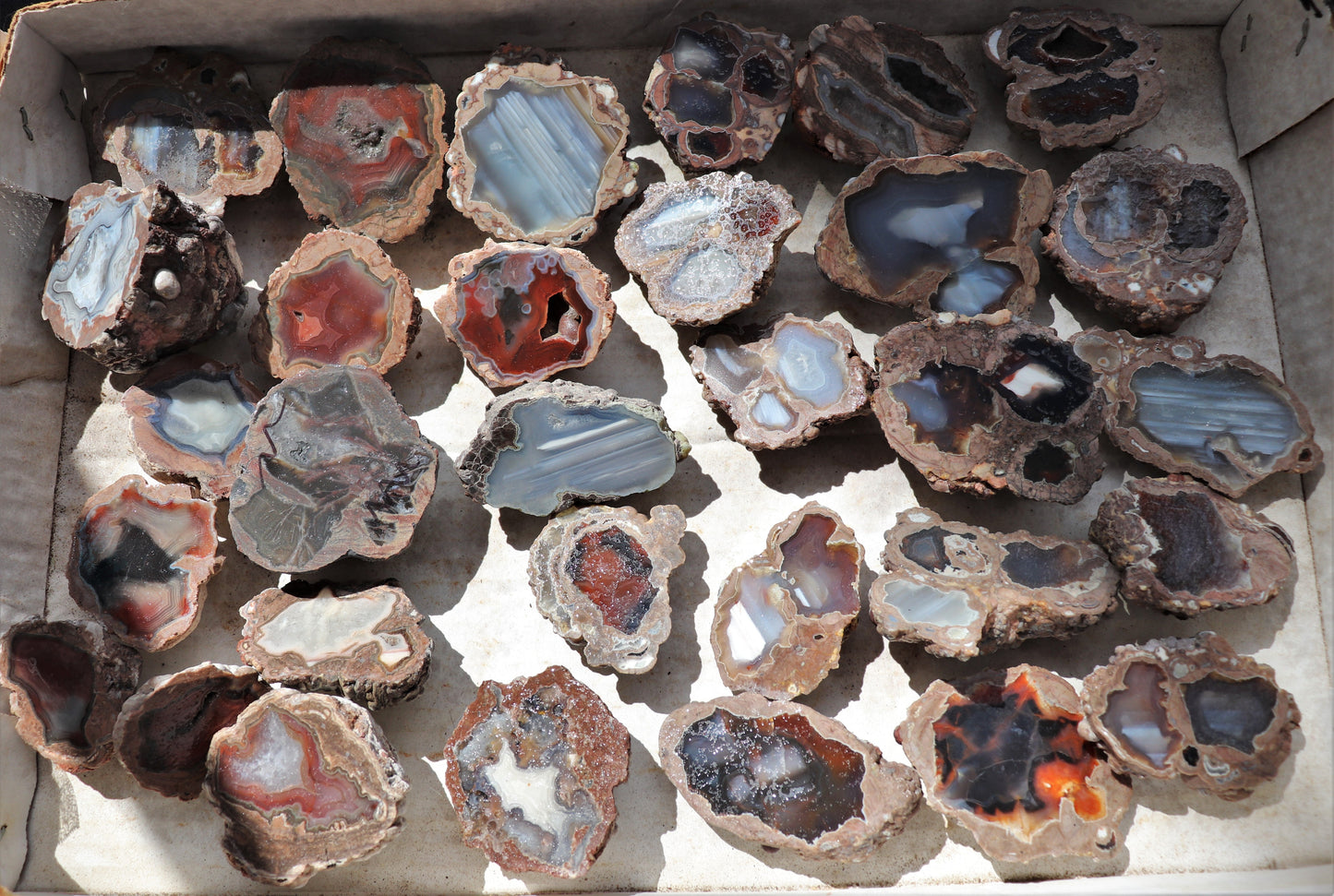 30 count flat of $15 Deming thunderegg halves